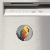 Jenday Conure Magnet (Insitu (Vaatwasser))