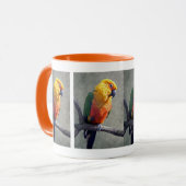 Jenday Conure Mok (Voorkant links)