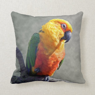 Jenday Conure Pillow Kussen