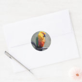 Jenday Conure Sticker (Envelop)