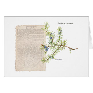 Jeneverbes met historische beschrijving van het ge