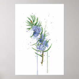 Jeneverbes Poster