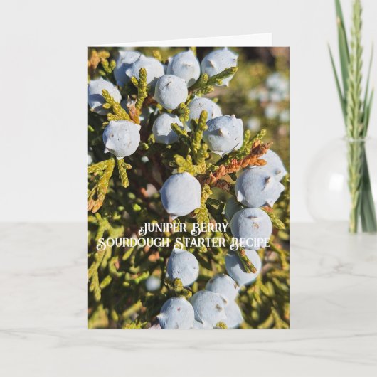 Jeneverbes Sourdough Startersrecept Kaart (Voorkant)