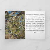 Jeneverbes Sourdough Startersrecept Kaart (Binnen)