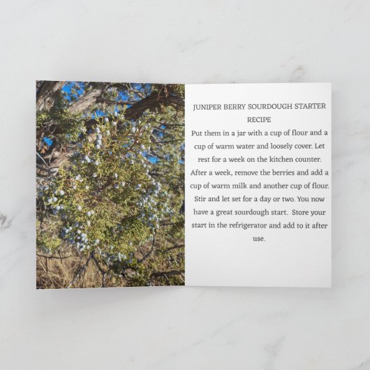 Jeneverbes Sourdough Startersrecept Kaart (Binnen)