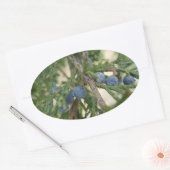 Jeneverbes Stickers (Envelop)