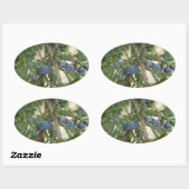 Jeneverbes Stickers (Vel)