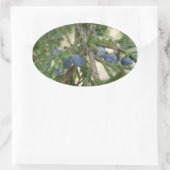 Jeneverbes Stickers (Tas)