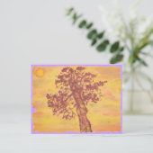 jeneverbes zonsondergang briefkaart (Staand voorkant)
