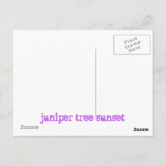 jeneverbes zonsondergang briefkaart (Achterkant)