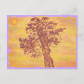 jeneverbes zonsondergang briefkaart (Voorkant)