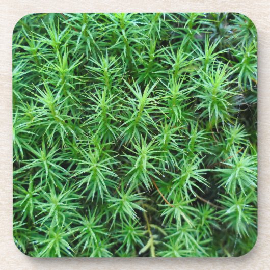Jeneverbeshaar Pet Moss Bier Onderzetter (Voorkant)