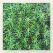 Jeneverbeshaar Pet Moss Glazen Onderzetter (Voorkant)