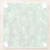 Jeneverbeshaar Pet Moss Glazen Onderzetter (Achterkant)