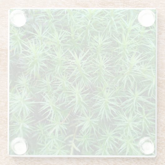 Jeneverbeshaar Pet Moss Glazen Onderzetter (Achterkant)