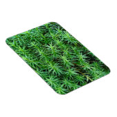 Jeneverbeshaar Pet Moss Magneet (Rechterzijde)