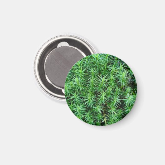 Jeneverbeshaar Pet Moss Magnet (Voorkant / Achterkant)