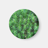 Jeneverbeshaar Pet Moss Magnet (Voorkant)