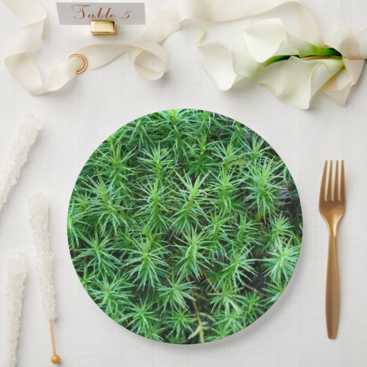 Jeneverbeshaar Pet Moss Paper Bord (Huwelijk)