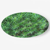 Jeneverbeshaar Pet Moss Paper Bord (Gekanteld)