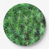 Jeneverbeshaar Pet Moss Paper Bord (Voorkant)