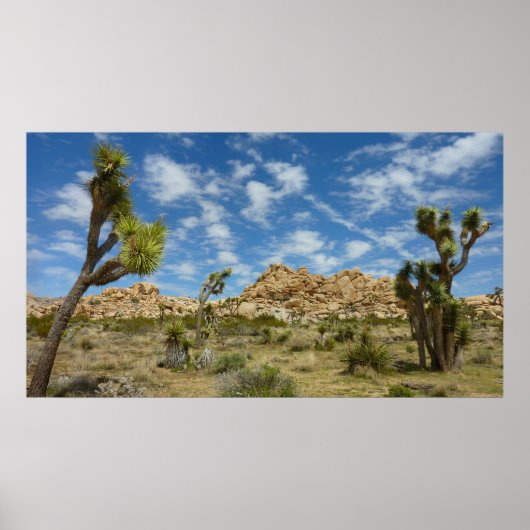 Jeneverbosbomen en blauwe lucht woestijnlandschap poster (Voorkant)