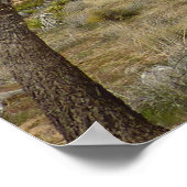 Jeneverbosbomen en blauwe lucht woestijnlandschap poster (Hoek)