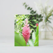 Jengibre rosado (roze gember) briefkaart (Staand voorkant)