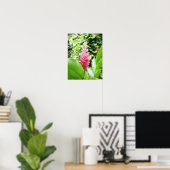 Jengibre rosado (roze gember) poster (Thuiskantoor)