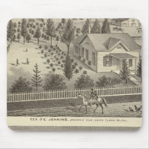 Jenkins, Snyder residences Muismat