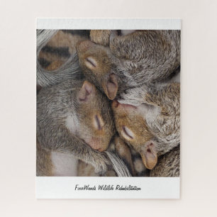 Jennifer, Sylvie en Holly Puzzle Legpuzzel