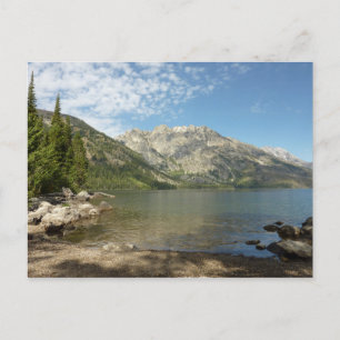 Jenny Lake in Grand Teton National Park Briefkaart