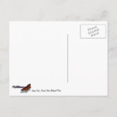 Jenny Lake in Grand Teton National Park Briefkaart (Achterkant)