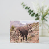 Jenny's Foal Briefkaart (Staand voorkant)