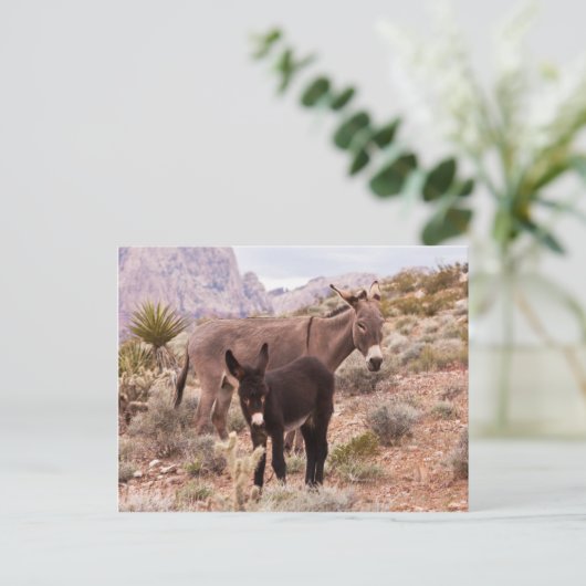 Jenny's Foal Briefkaart (Staand voorkant)