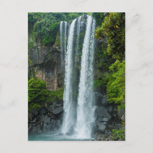 Jeongbang waterval, Zuid-Korea Briefkaart (Voorkant)