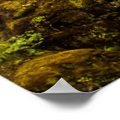 Jeremia 17:7-8 Christelijke Bijbel Schrift Natuur Poster (Hoek)