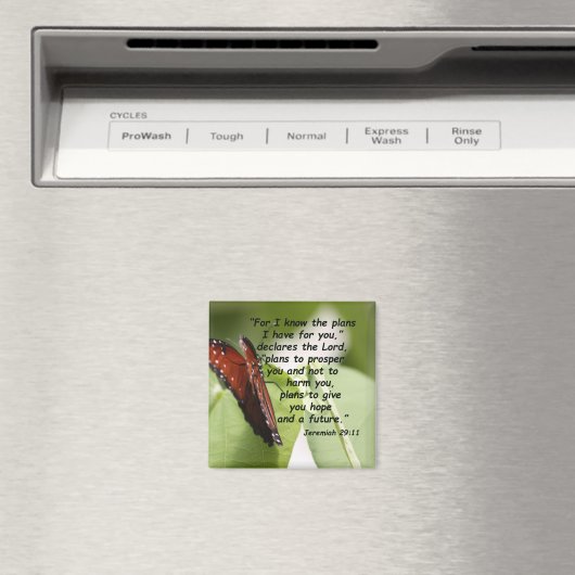 Jeremia 29:11 (2) magneet (Insitu (Vaatwasser))