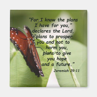 Jeremia 29:11 (2) magneet