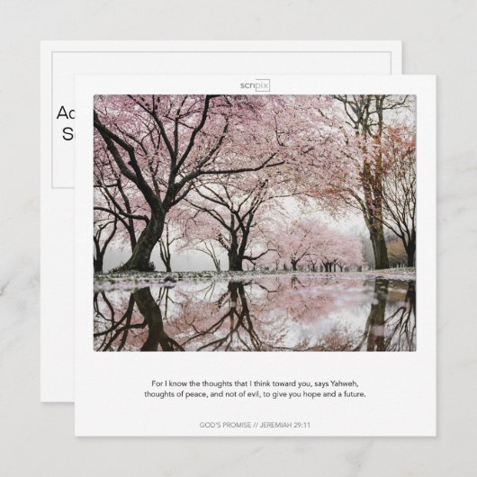 JEREMIA 29:11 GOD'S BELOFTEN SCRIPIX kaart (Voorkant / Achterkant)