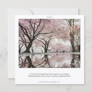 JEREMIA 29:11 GOD'S BELOFTEN SCRIPIX kaart