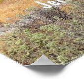 Jeremia 29:11 Gods Plannen Bijbel Vers Levendig Poster (Hoek)