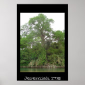 Jeremiah 17:8 poster (Voorkant)