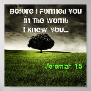 JEREMIAH 1:5 (boom) Poster