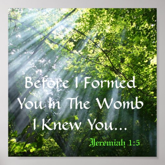 JEREMIAH 1:5 - BOSSEN POSTER (Voorkant)