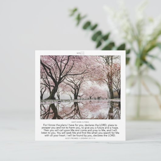 Jeremiah 29:11-14 GOD'S PROMISE SCRIPIX Kaart (Staand voorkant)