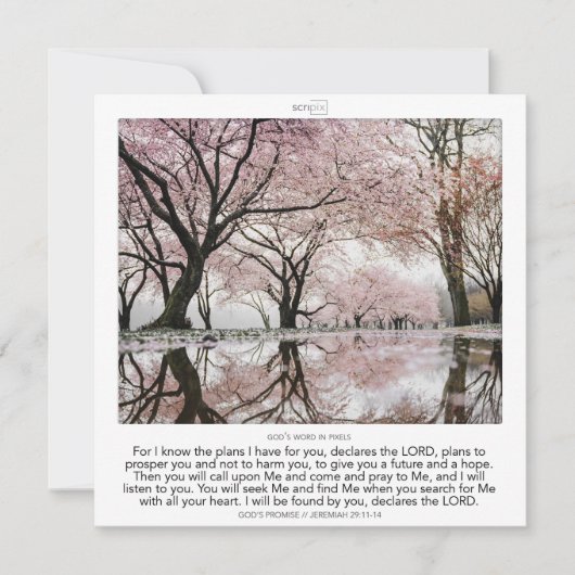 Jeremiah 29:11-14 GOD'S PROMISE SCRIPIX Kaart (Voorkant)