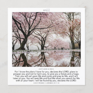 Jeremiah 29:11-14 GOD'S PROMISE SCRIPIX Kaart