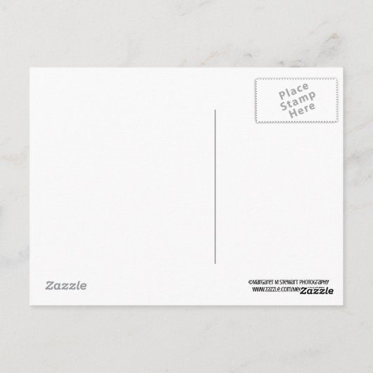 Jeremiah 29:11 Afstuderen Briefkaart (Achterkant)