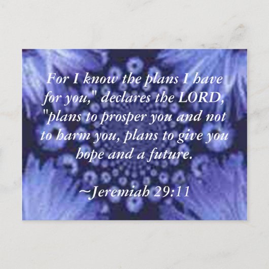 Jeremiah 29:11 Blue Daisy Post Card Briefkaart (Voorkant)